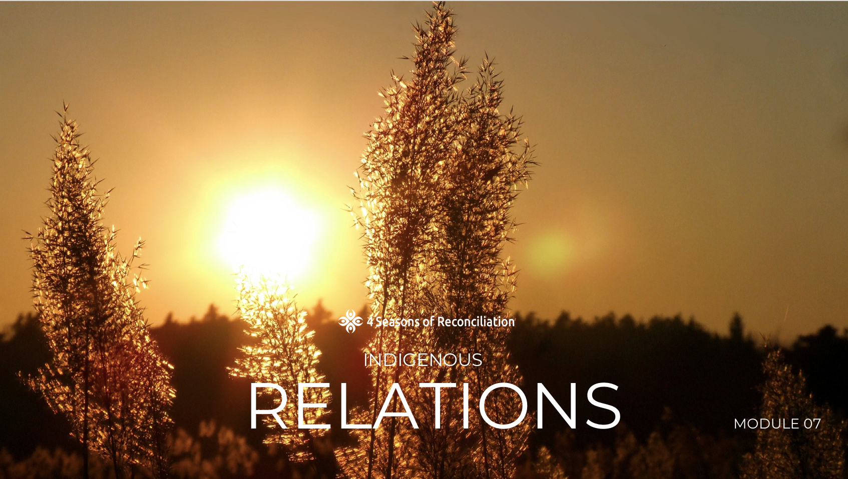 Module 7: Indigenous Relations