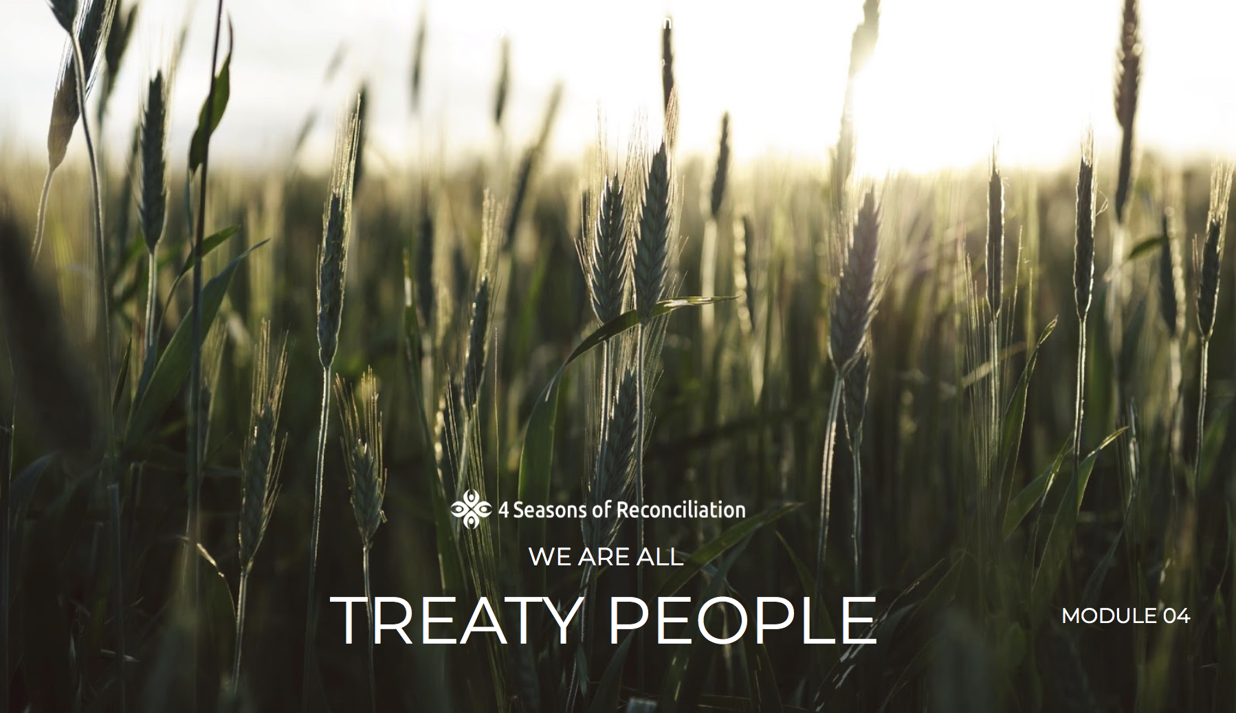 Module 4: Treaties
