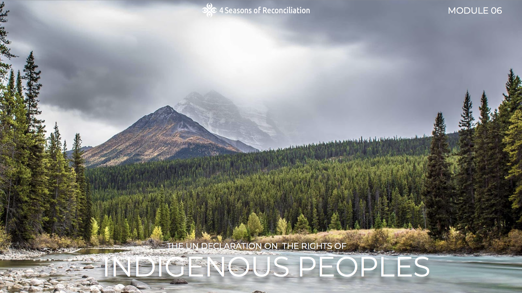 Module 6: UNDRIP
