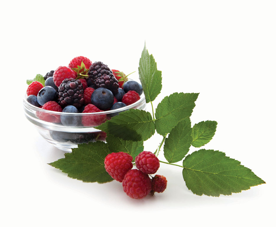 stuartwatson_Fresh Berries&Wild Raspberries.jpg