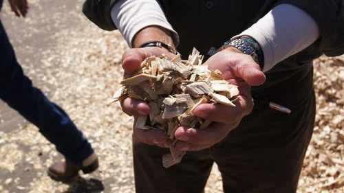 biomass+thumbnail+5.jpg