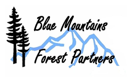 Blue Mountain Forest Partners LOGO.png