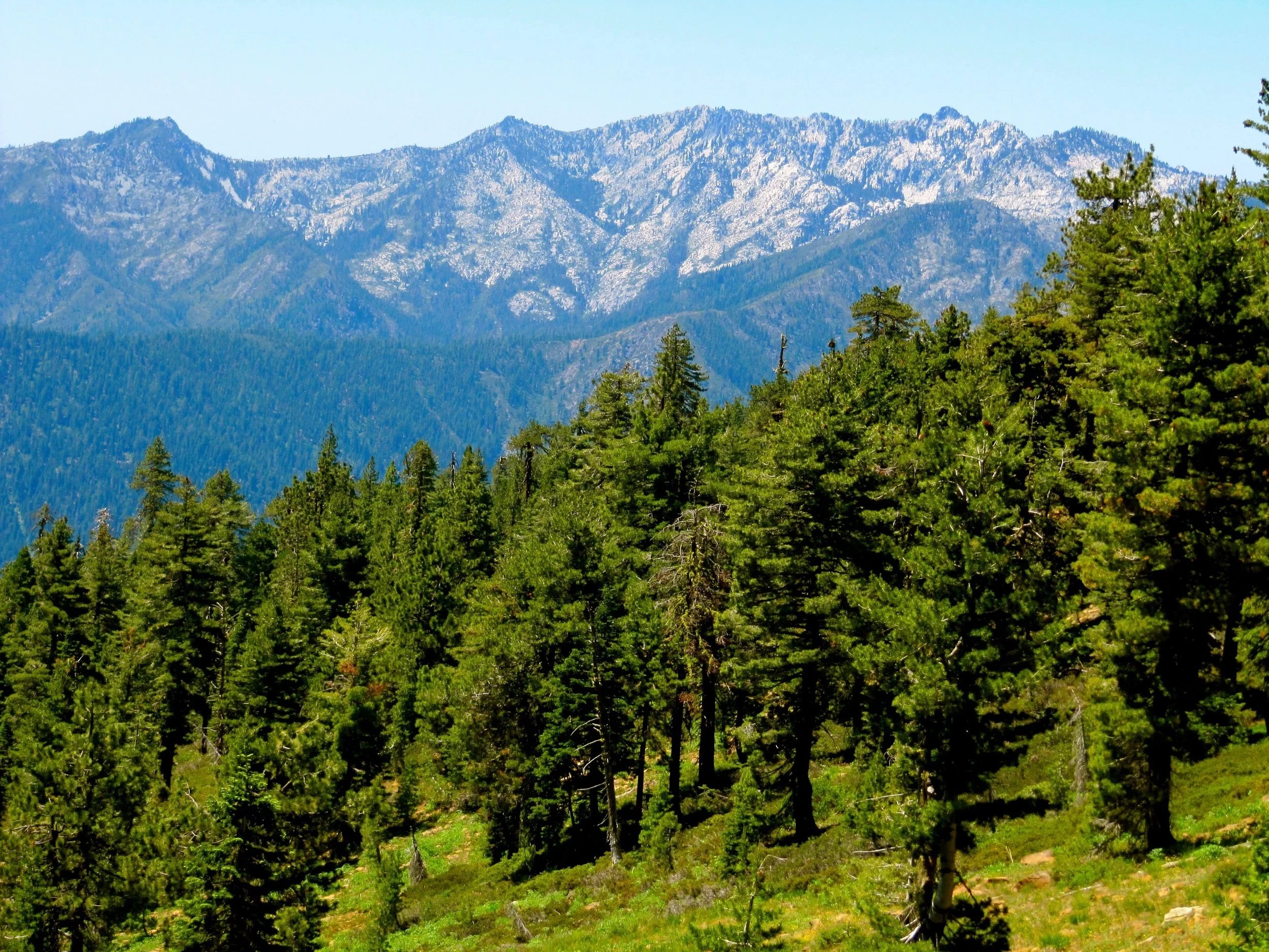 Trinity County 5.jpg
