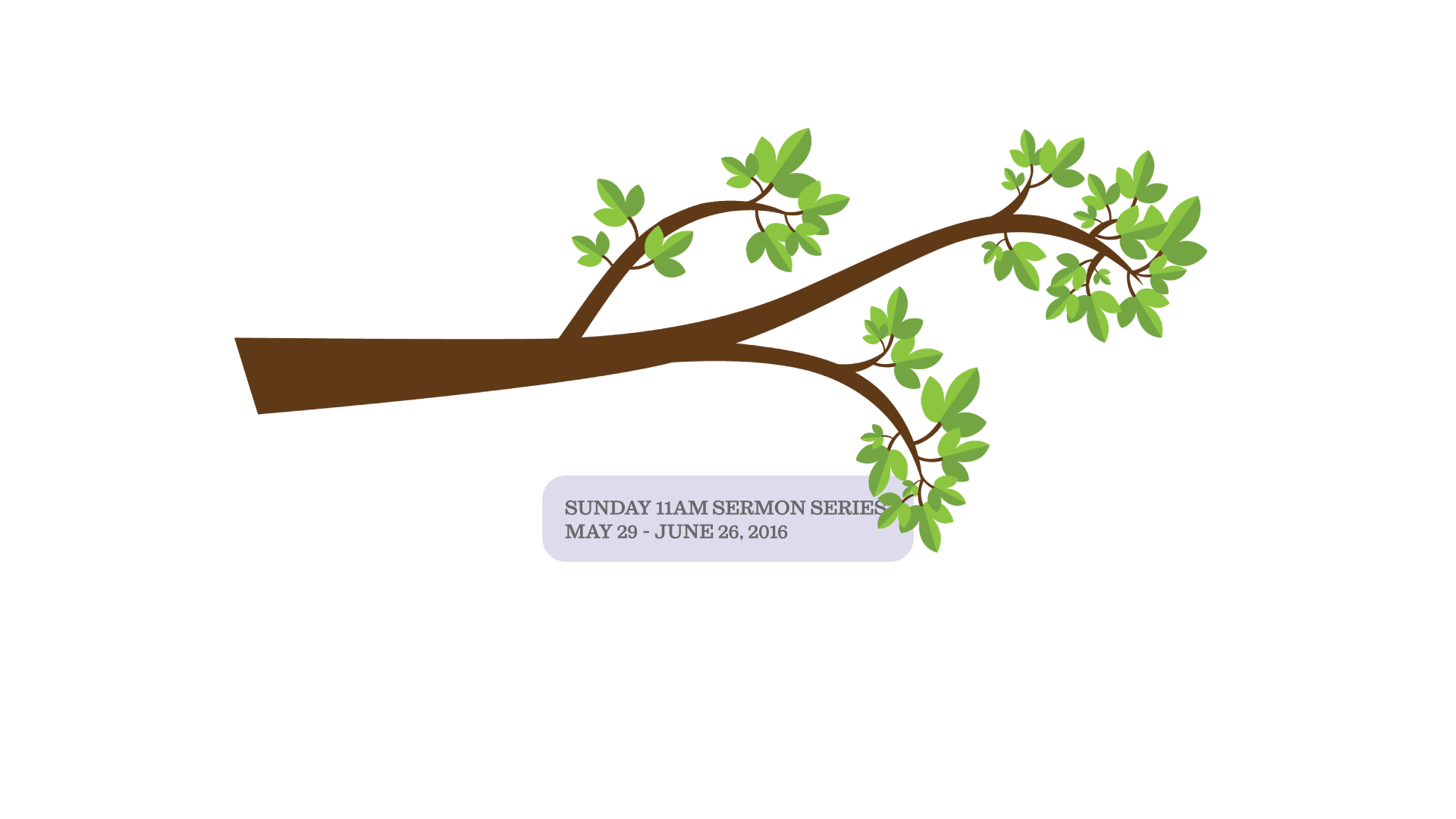 Life on the Limb: Trusting the Promise — June 5, 2016
