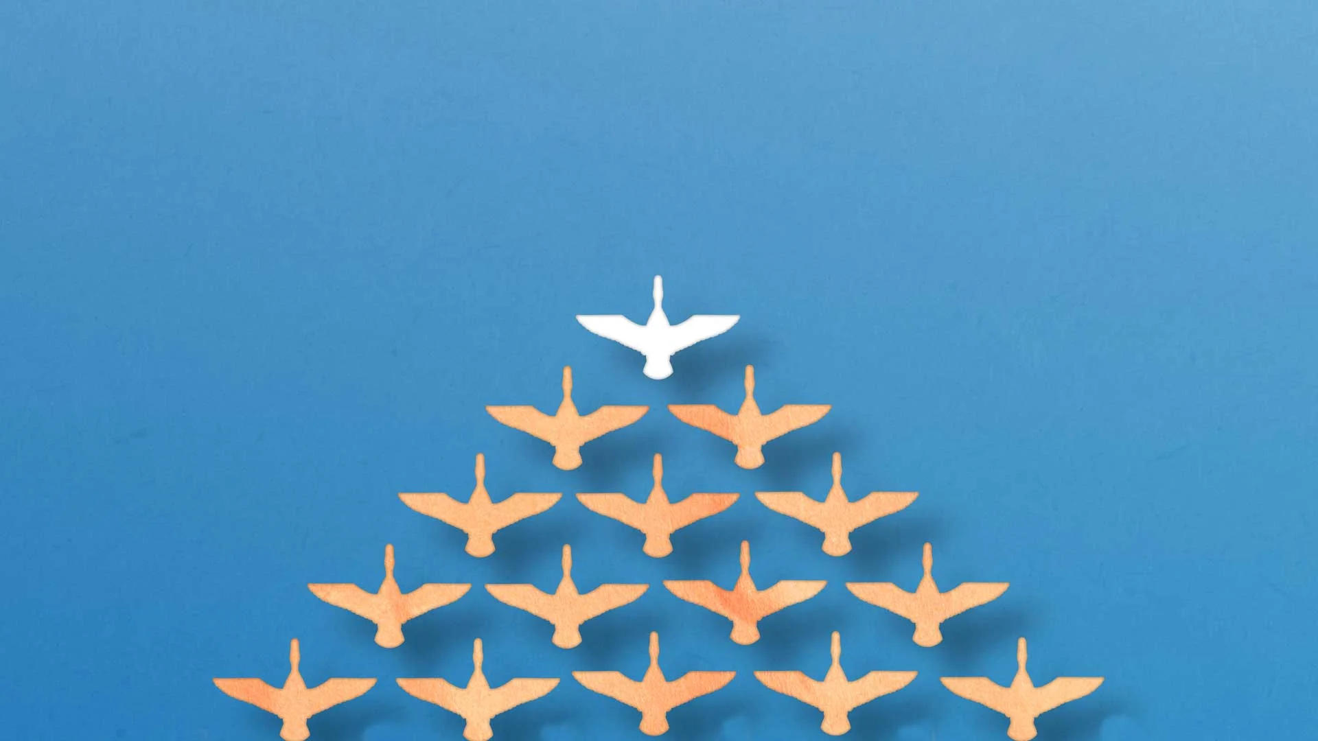 Leadership & Vision Workshop: Part Two   |  Saturday, June 3  |  10am-3pm