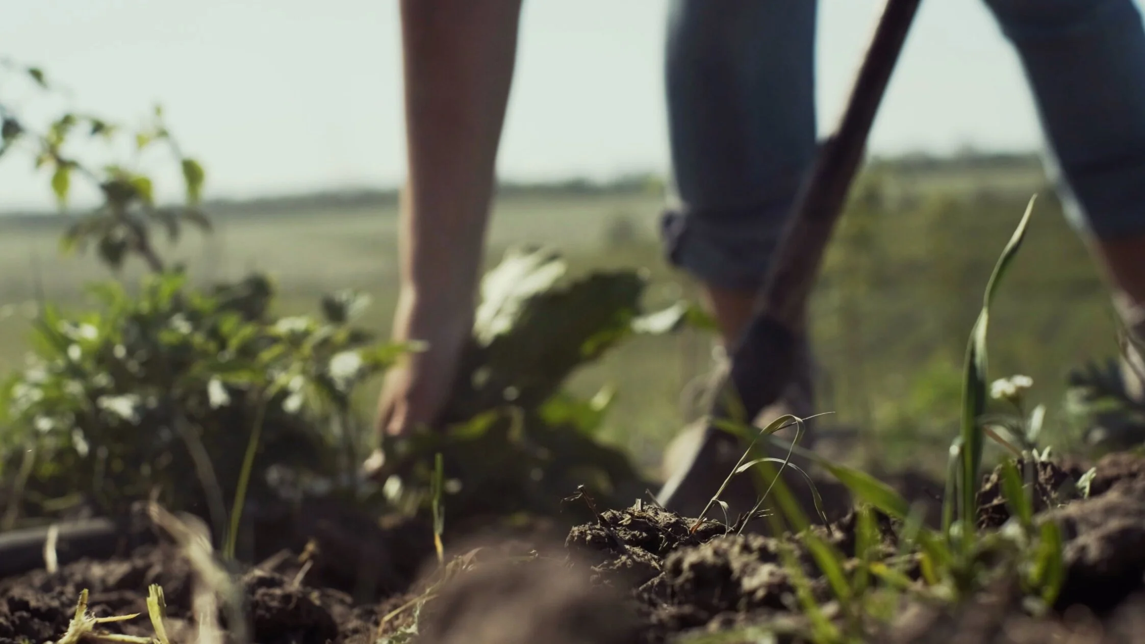 July 19, 2020 FBCDC Worship