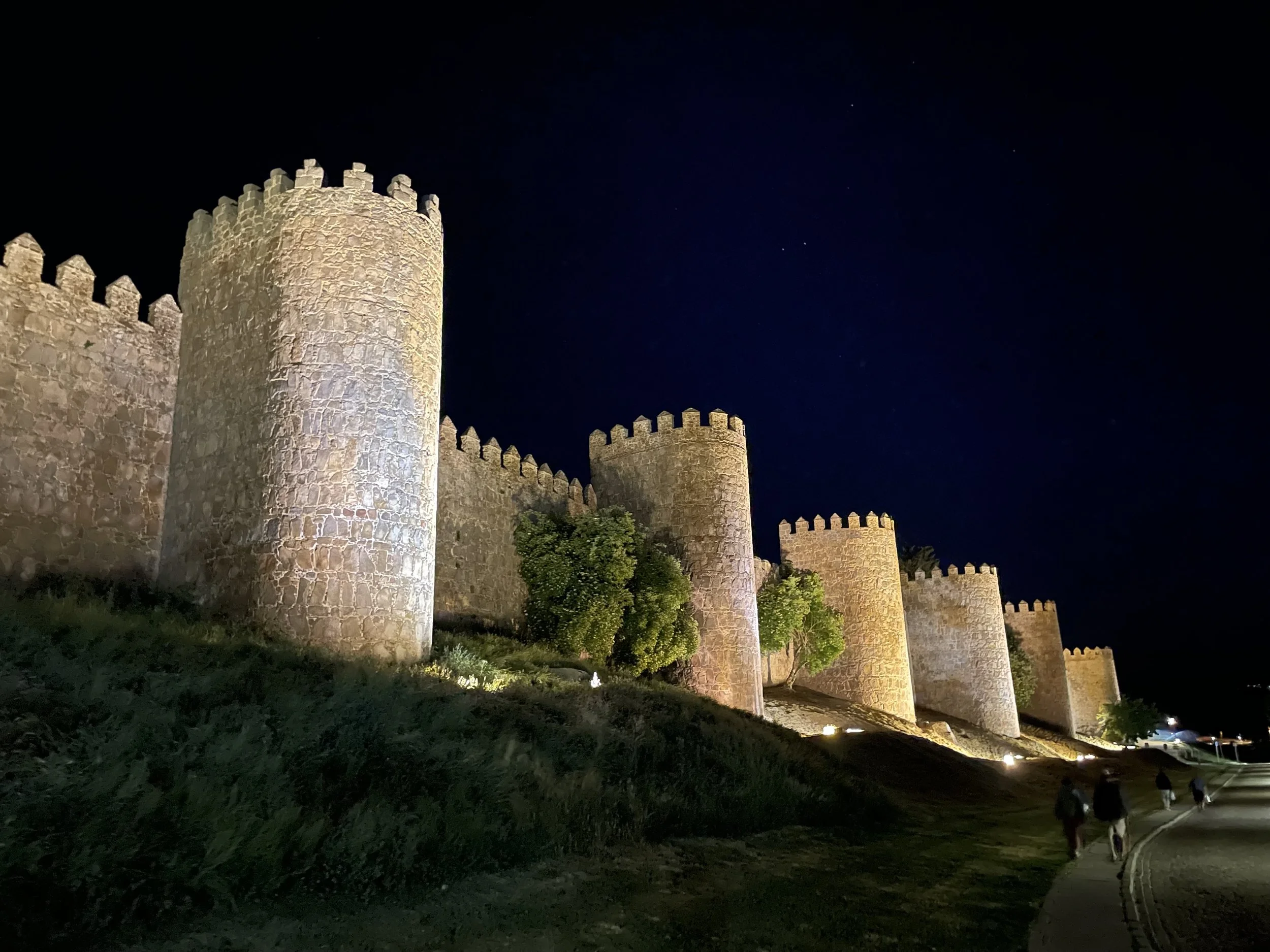 Taking the Long View