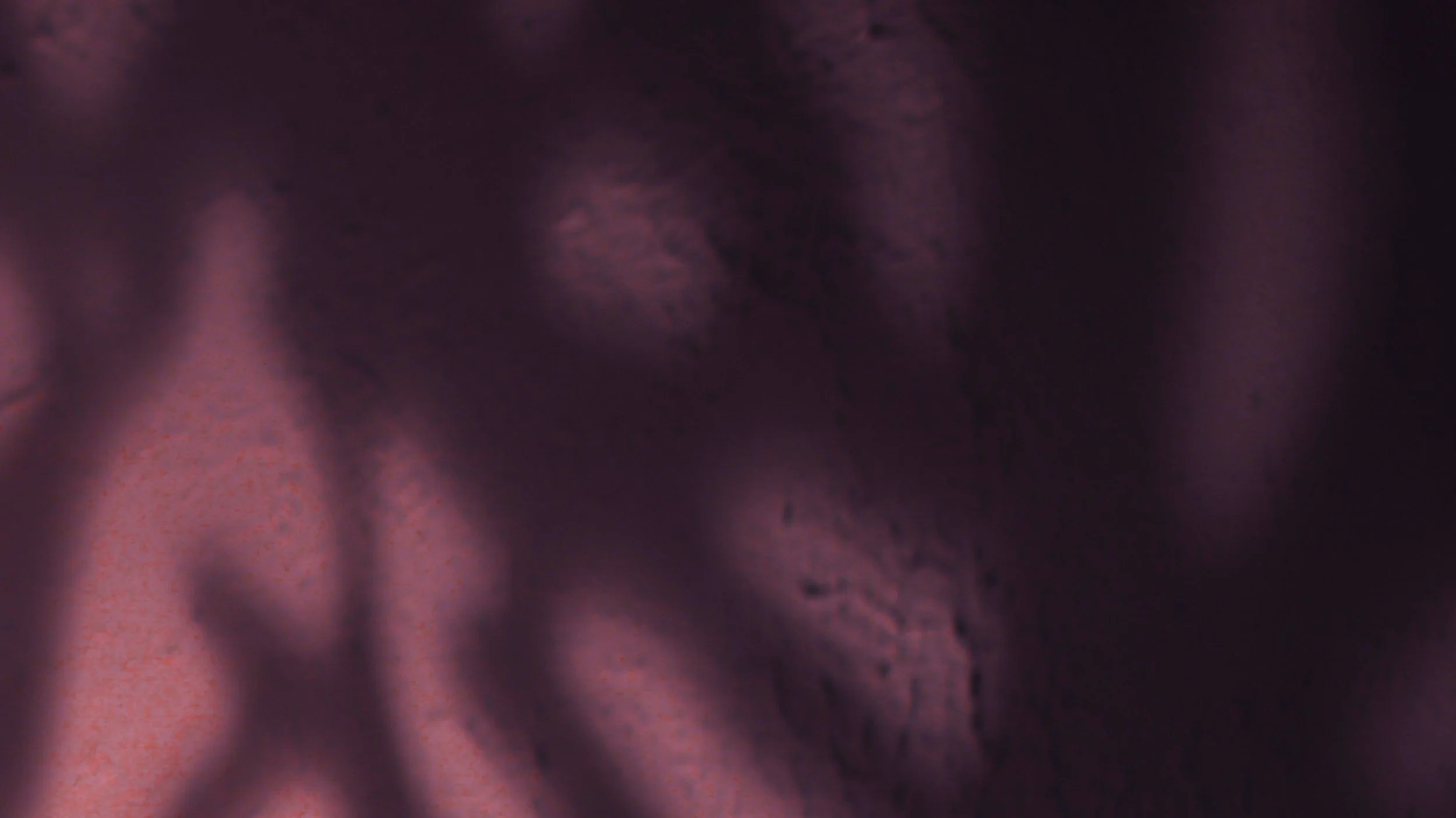 Advent 2025 Light Rising: An Advent of Stubborn Hope