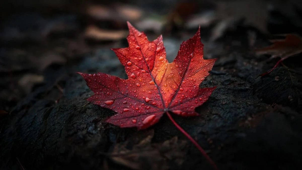 A Prayer of Thanksgiving and Remembrance