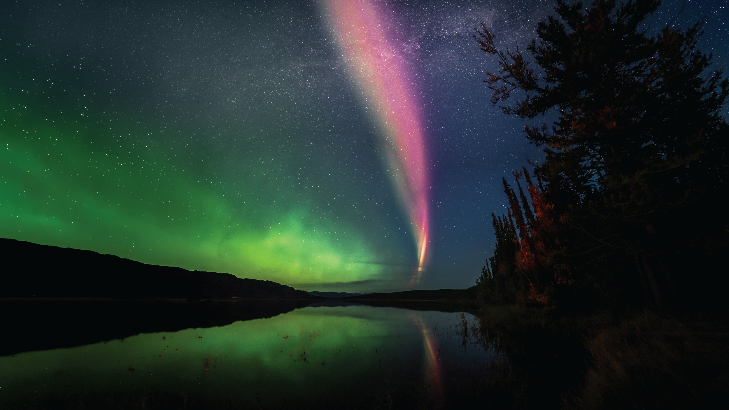 Christ-Soaked: Divine Love Saturating Everything