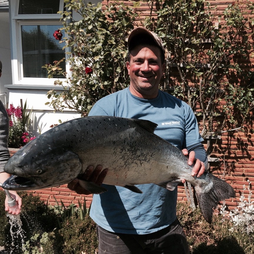 Mark with a big chinook in Sooke BC on an AP Sandlance Spoon