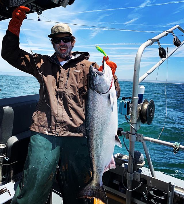 Sounds like some great Chinook fishing down in California right now! Ken and his son, Tom (shown here), have been filling the hold the last few days with the 420 Herring Spoon on FV Kahootz fishing in Monterey Bay, commercial salmon trolling. Looks l