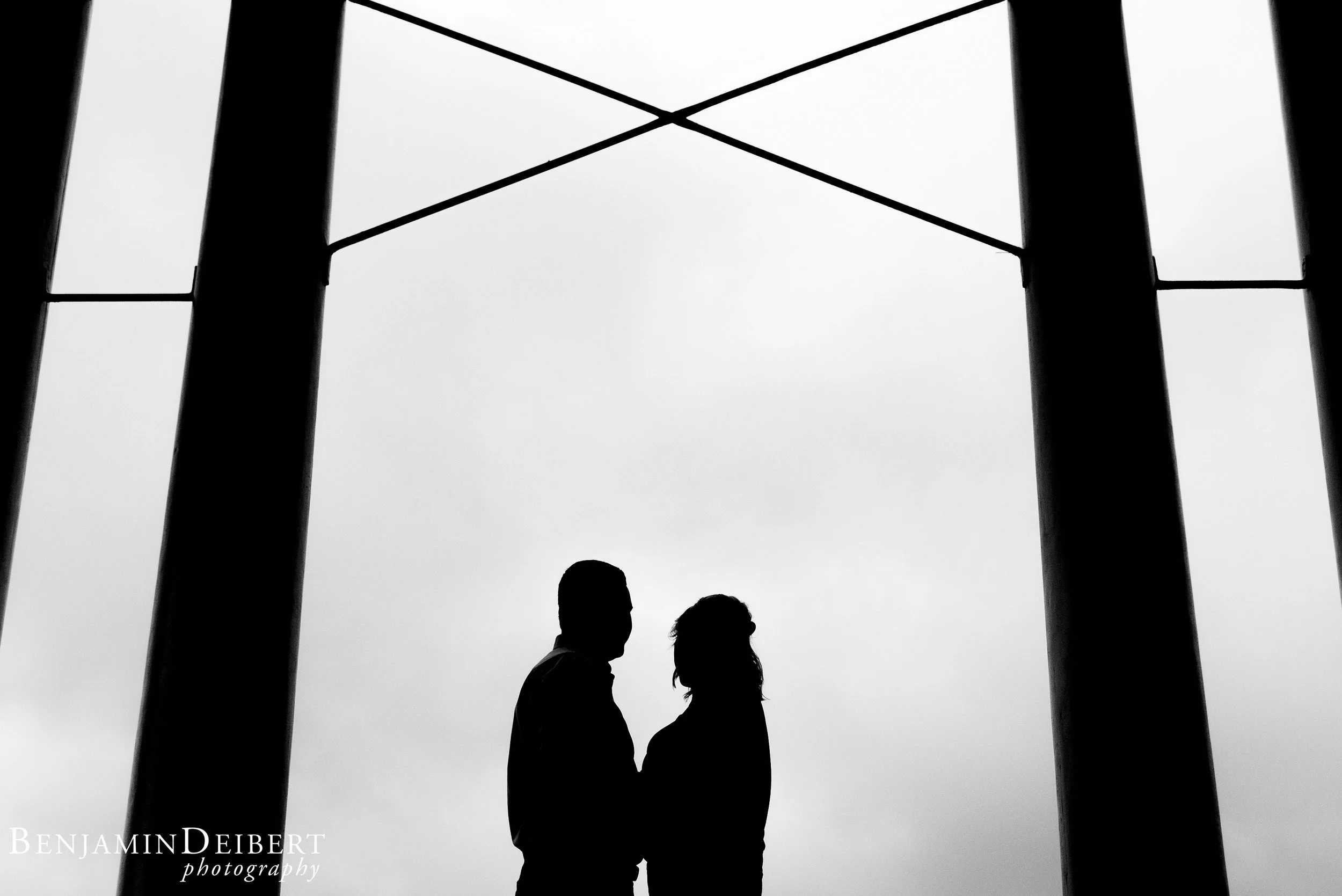 PatriceandAdamEngagement8806.jpg