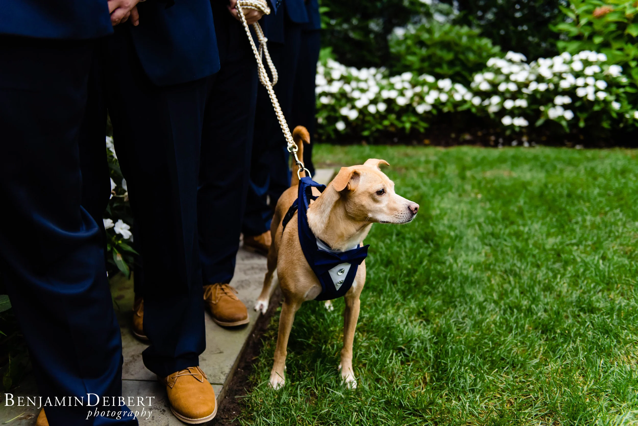 AllisonandMatt_BradfordEstate_Wedding-31.jpg