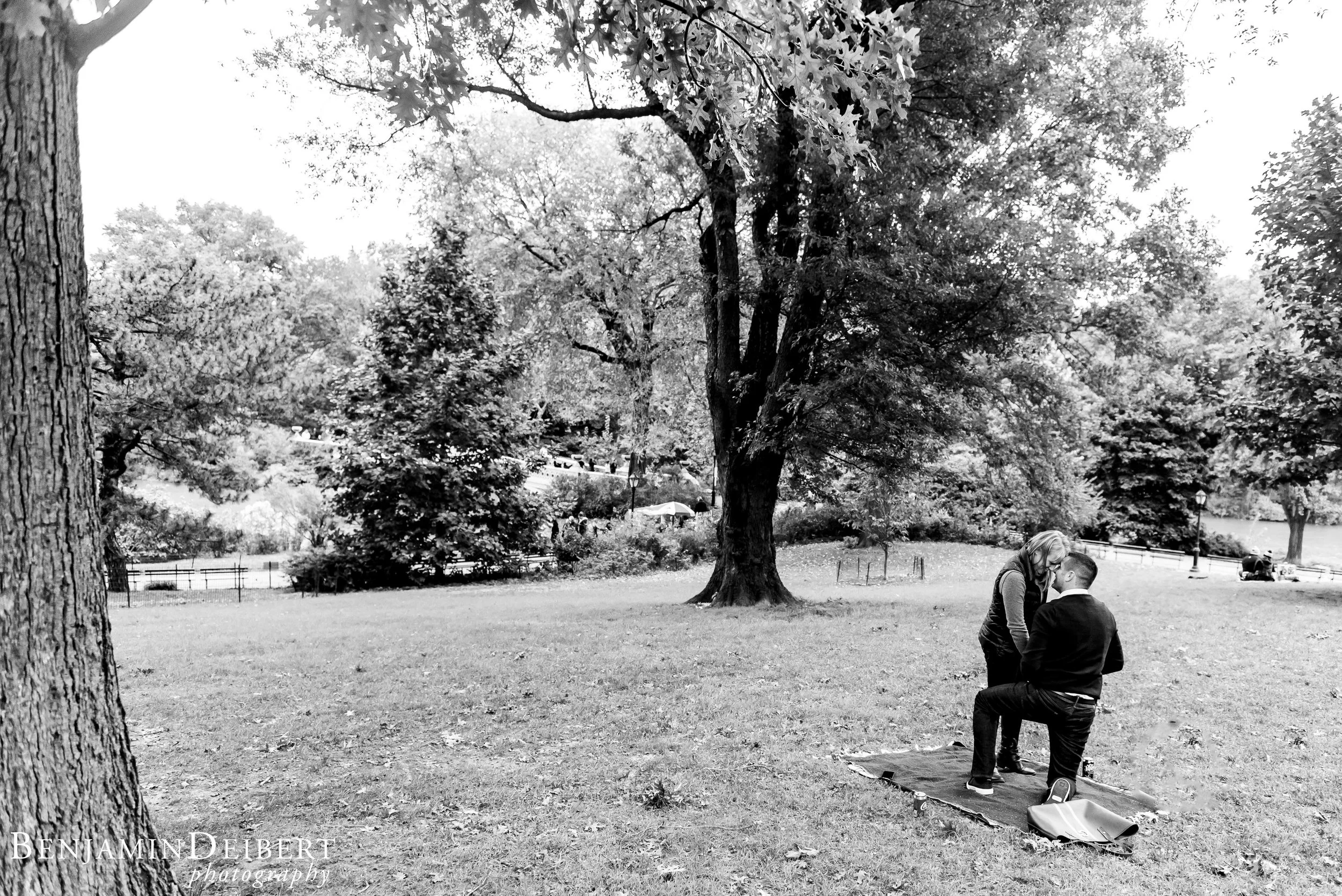 LynseyandAaronProposal-9.jpg