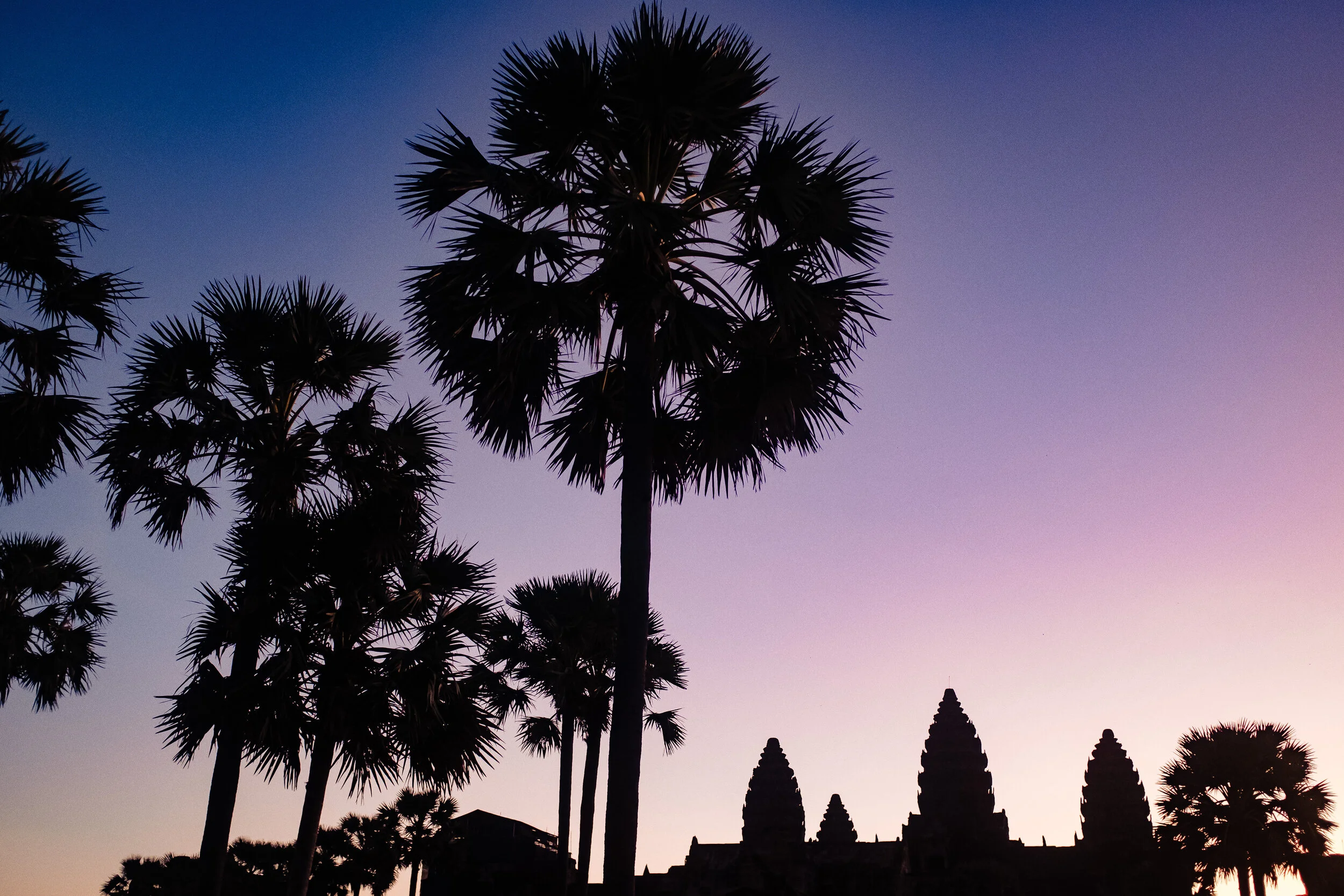 2020 - A Year In Photos