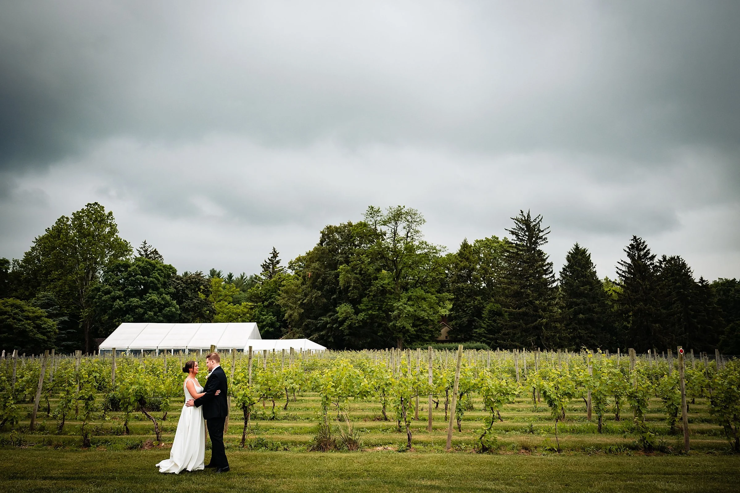 Crossing Vineyards Wedding_0013.jpg