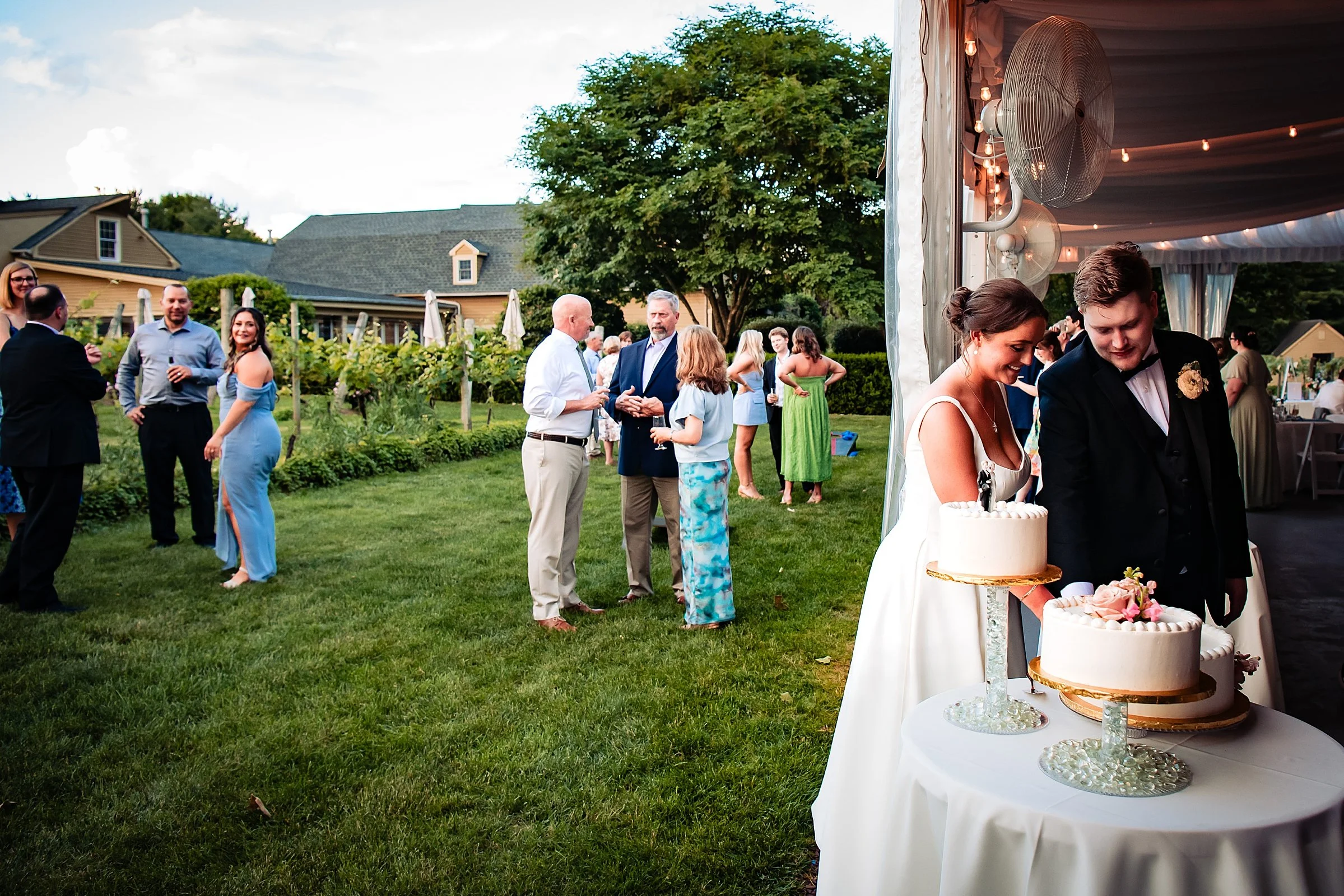 Crossing Vineyards Wedding_0028.jpg