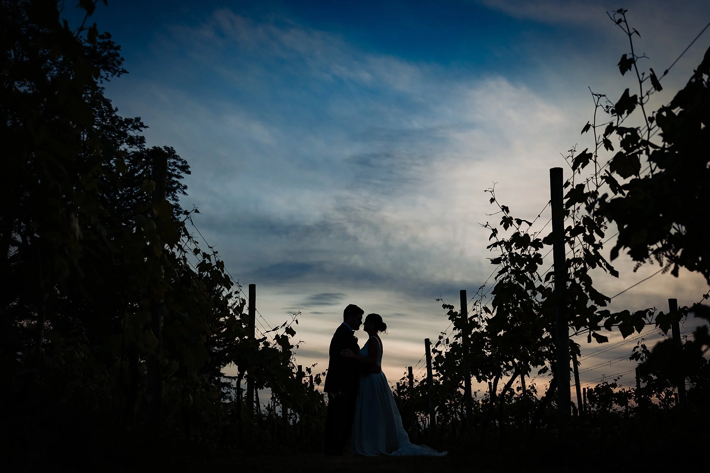 Crossing Vineyards Wedding_0034.jpg