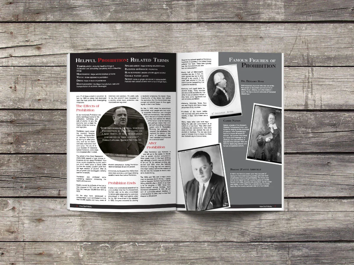 How Prohibition Worked, Publication Design