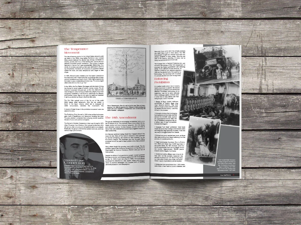 How Prohibition Worked, Publication Design