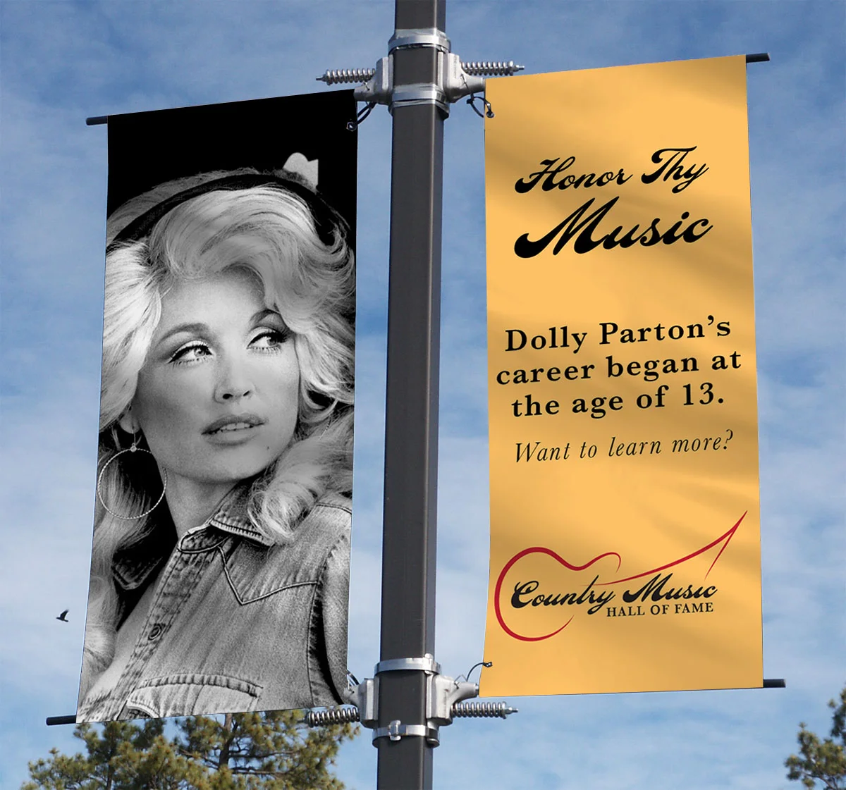 Banner Idea for Country Music Hall of Fame Rebrand
