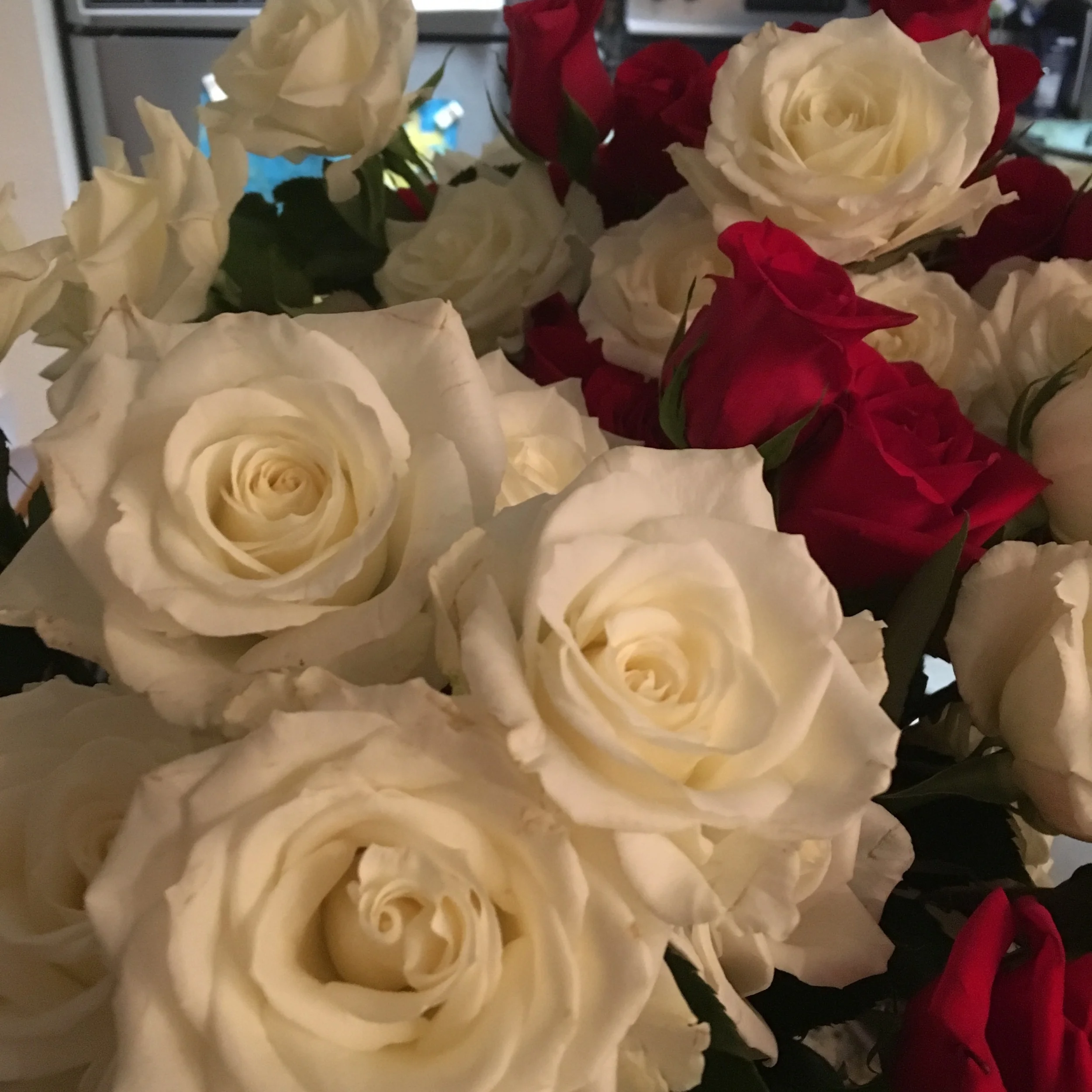 So pretty, I love how they look in my kitchen!