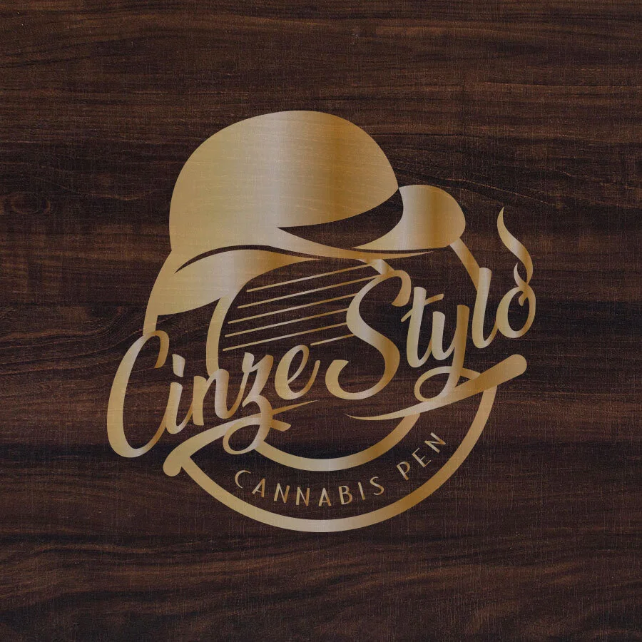 cinze-stylo-logo-portfolio-gallery.jpg