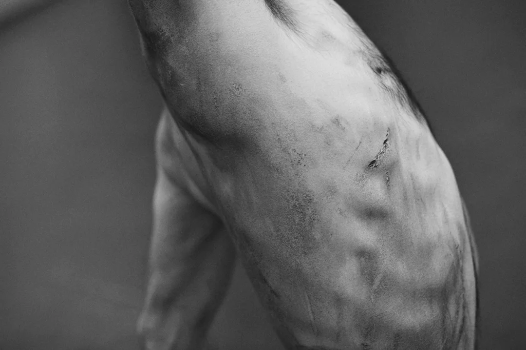 09_body.jpg