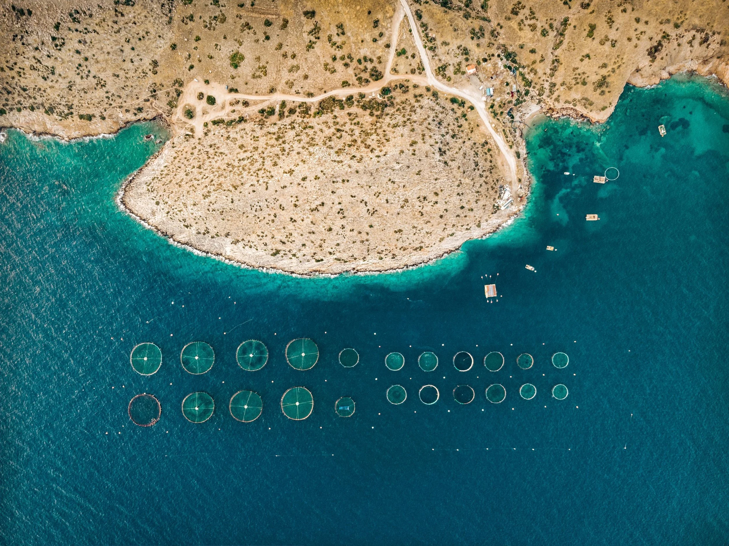 alex-antoniadis-ez8td7eYwZY-unsplash.jpg