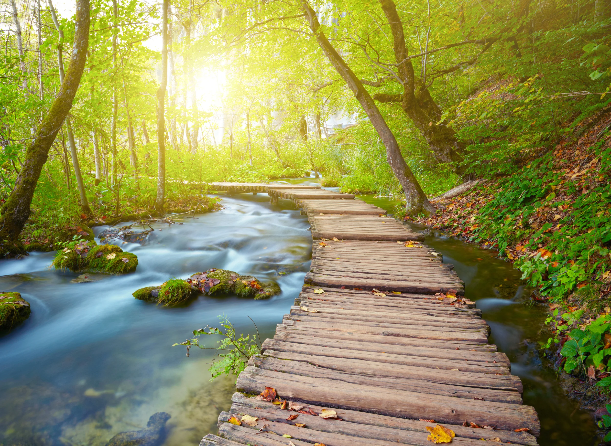 Fotolia_63778873_Subscription_Monthly_XXL.jpg