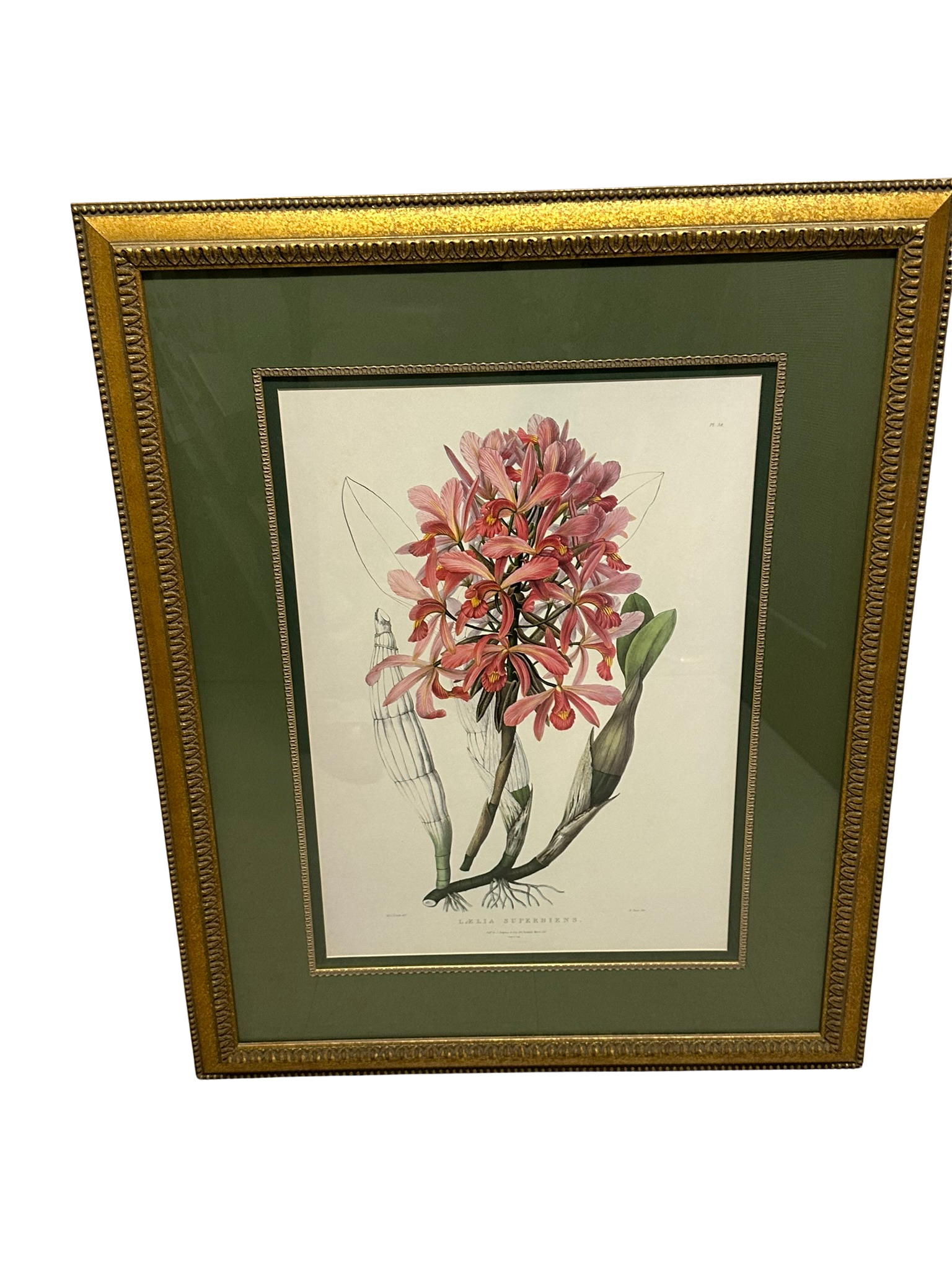 Floral picture 41”h x 31”w $50