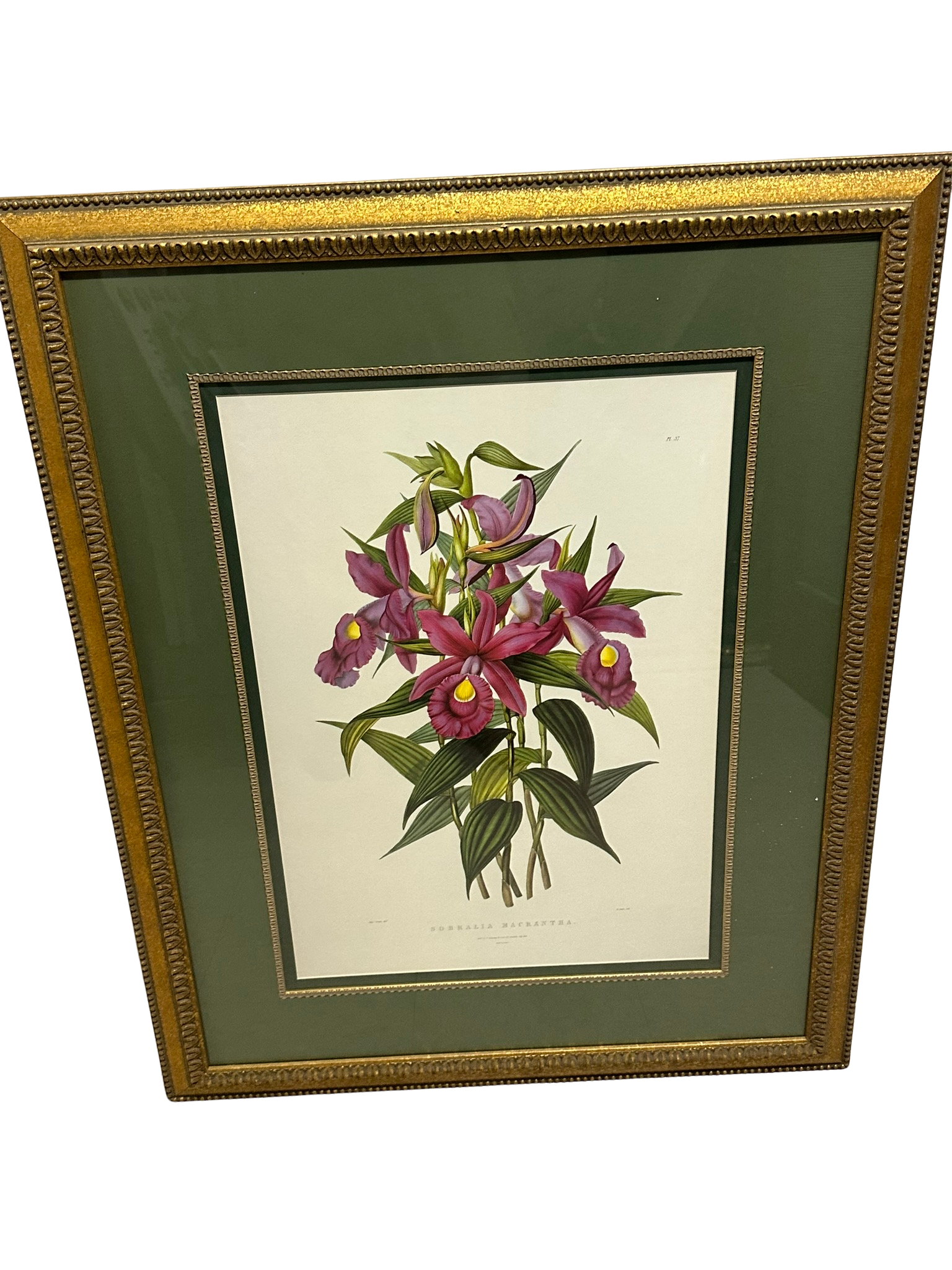 Floral picture 41”h x 31”w - $50