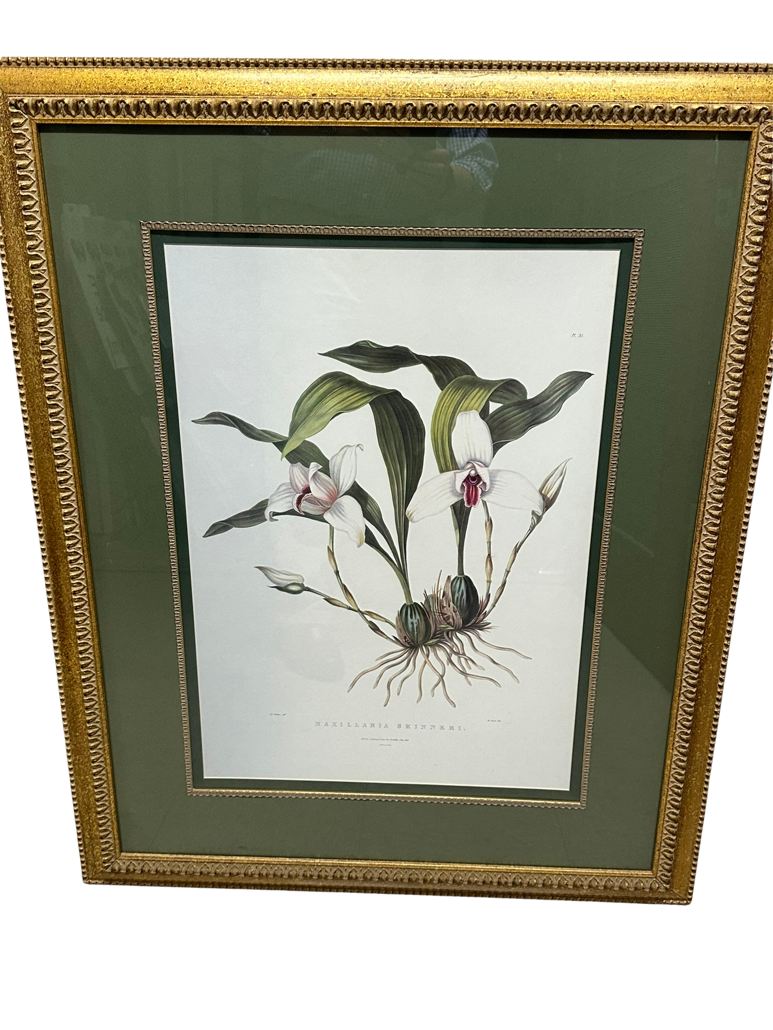 Floral picture 41”h x 31”w - $50
