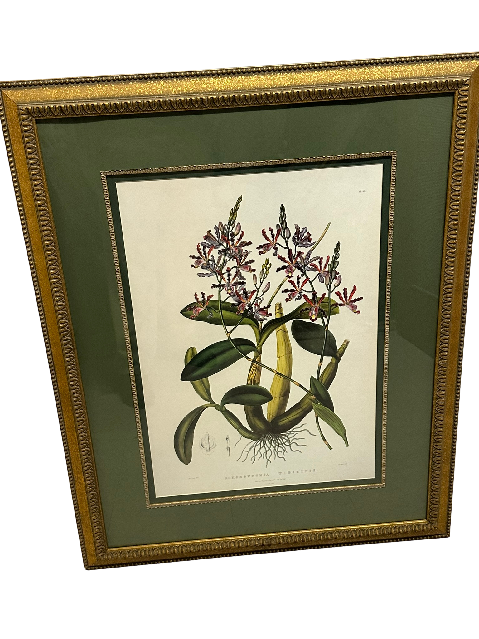 Floral picture 41”h x 31”w - $50