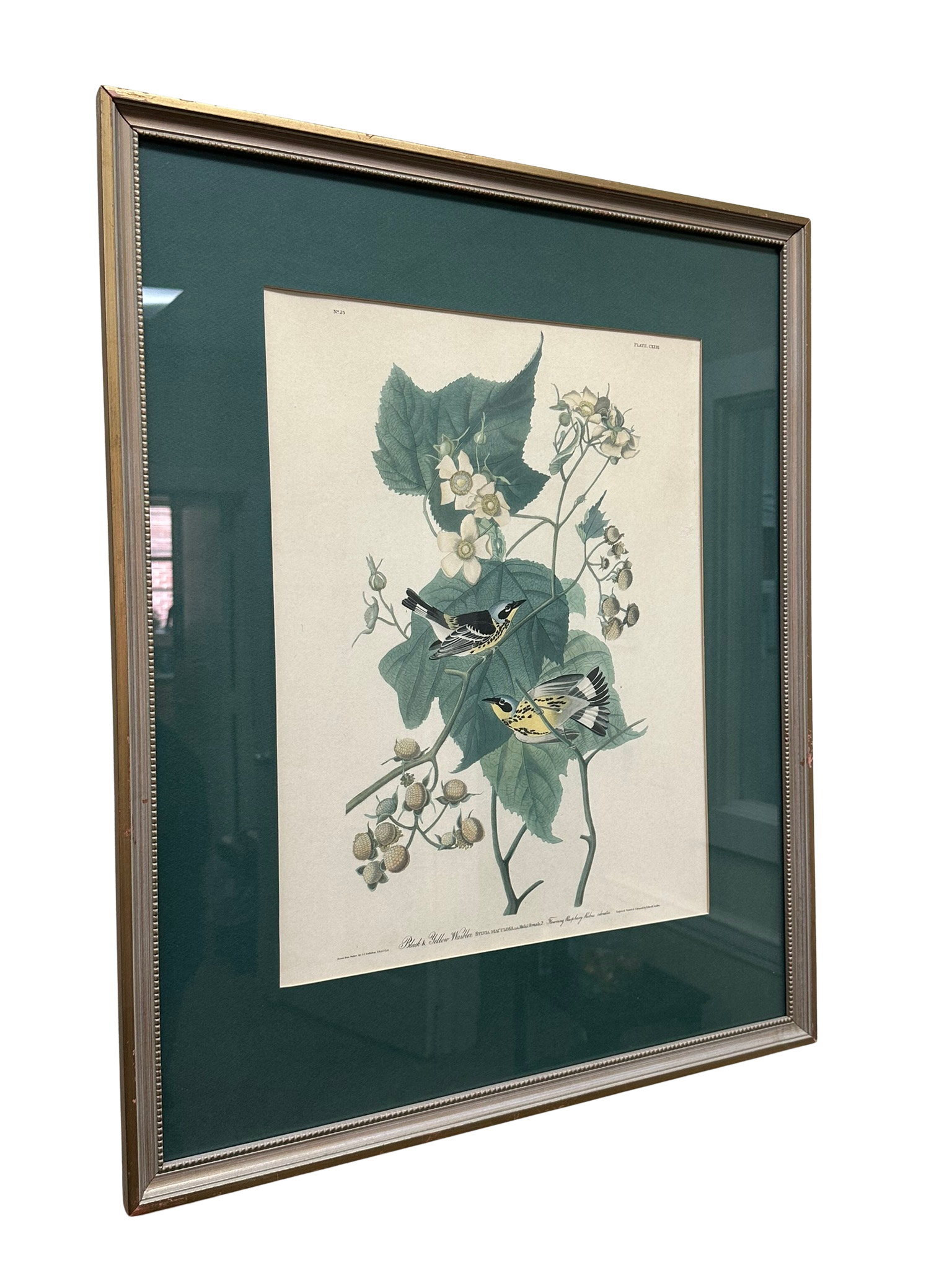 Audubon style picture 24”x29” - $30