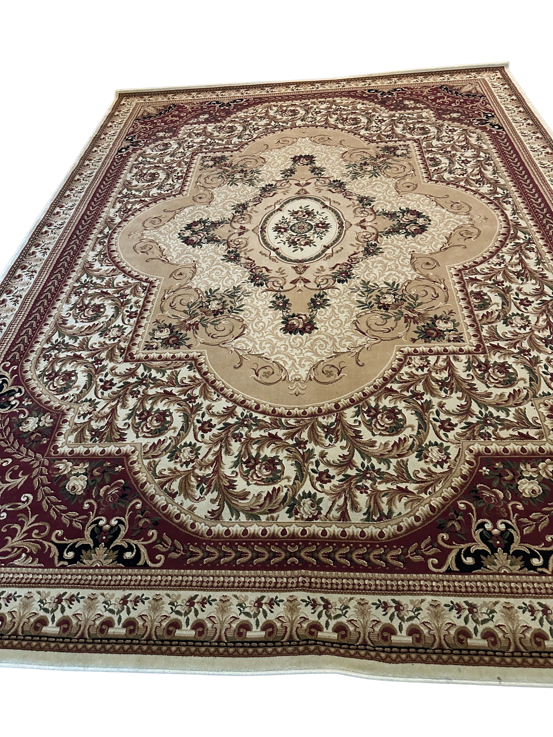 10 x 12 rug- $100