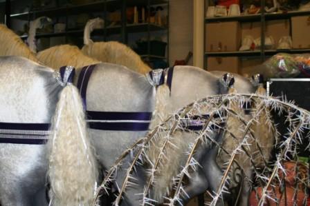 Four horse's 'bums' in a row, ready for Cinders' carriage