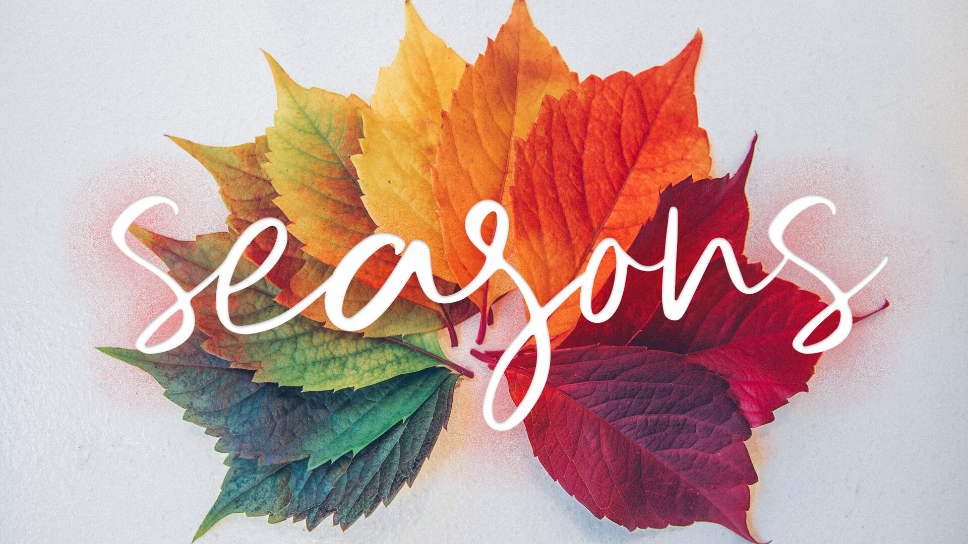 Seasons Seasons Change, God Stays The Same — SECOND CITY CHURCH