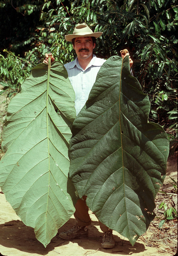James L. Zarucchi, Ph.D (1952-2019)