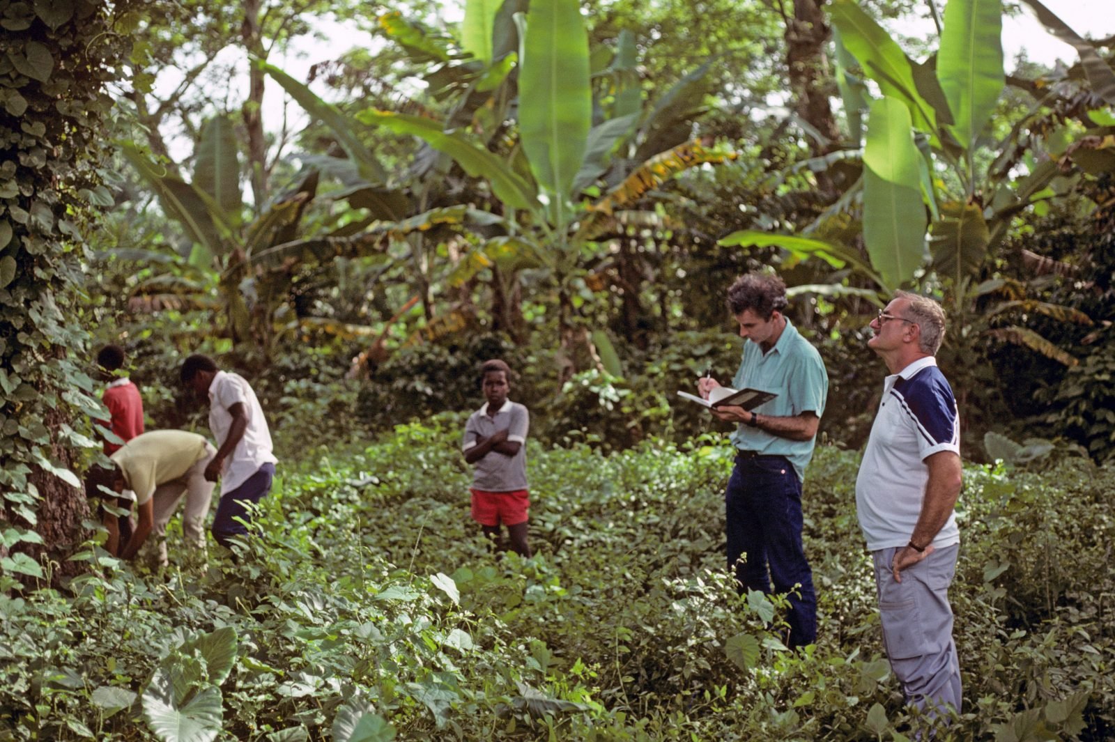 Haiti-Attalea-Crassispatha-1989-1600x1065.jpg