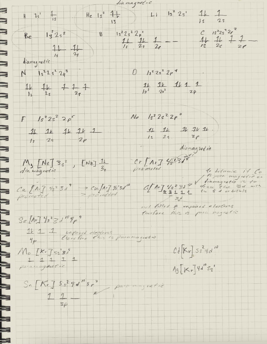 Screenshot 2024-02-25 at 1.21.42 PM.png