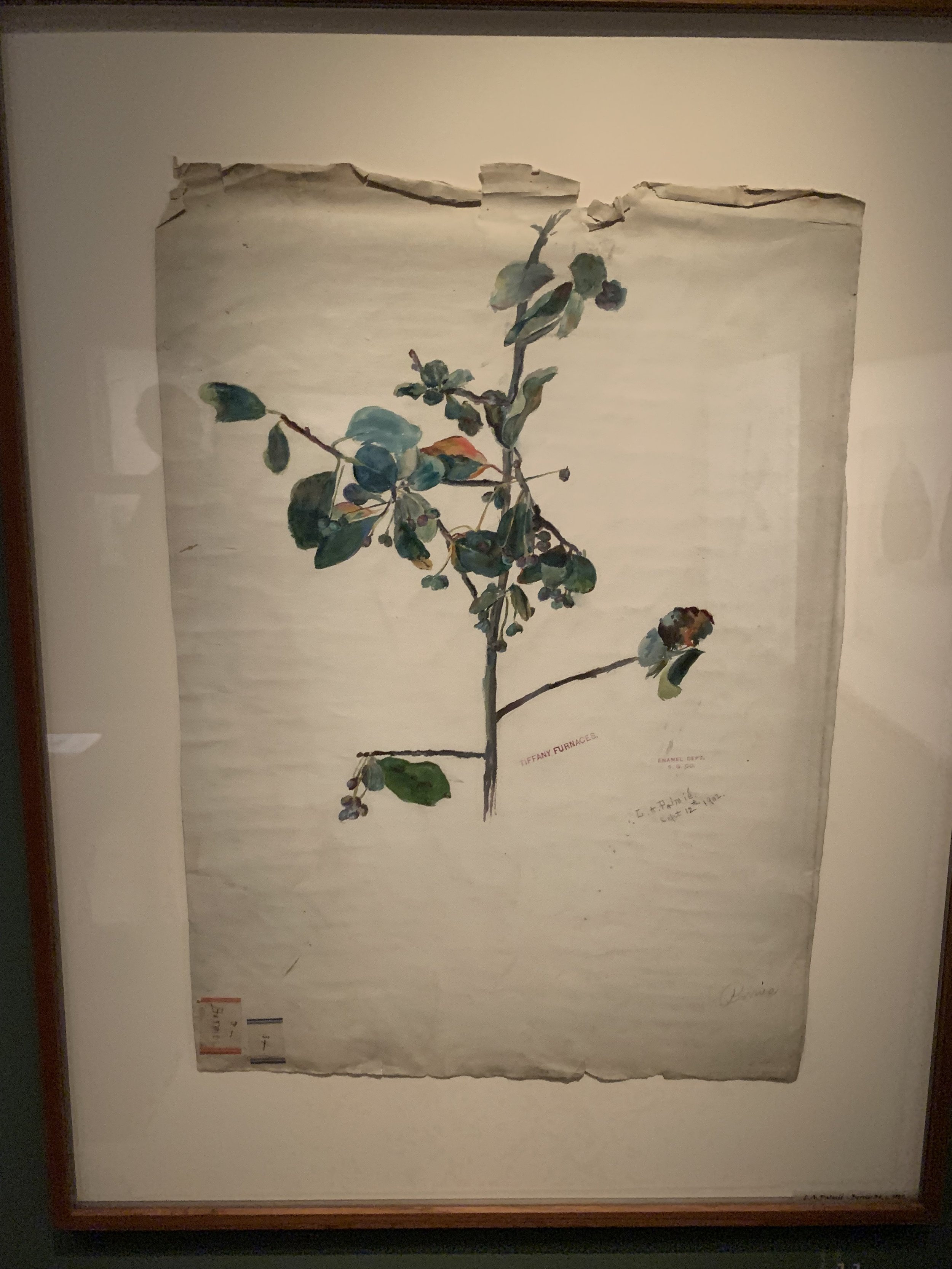 IMG_0172 2.jpeg