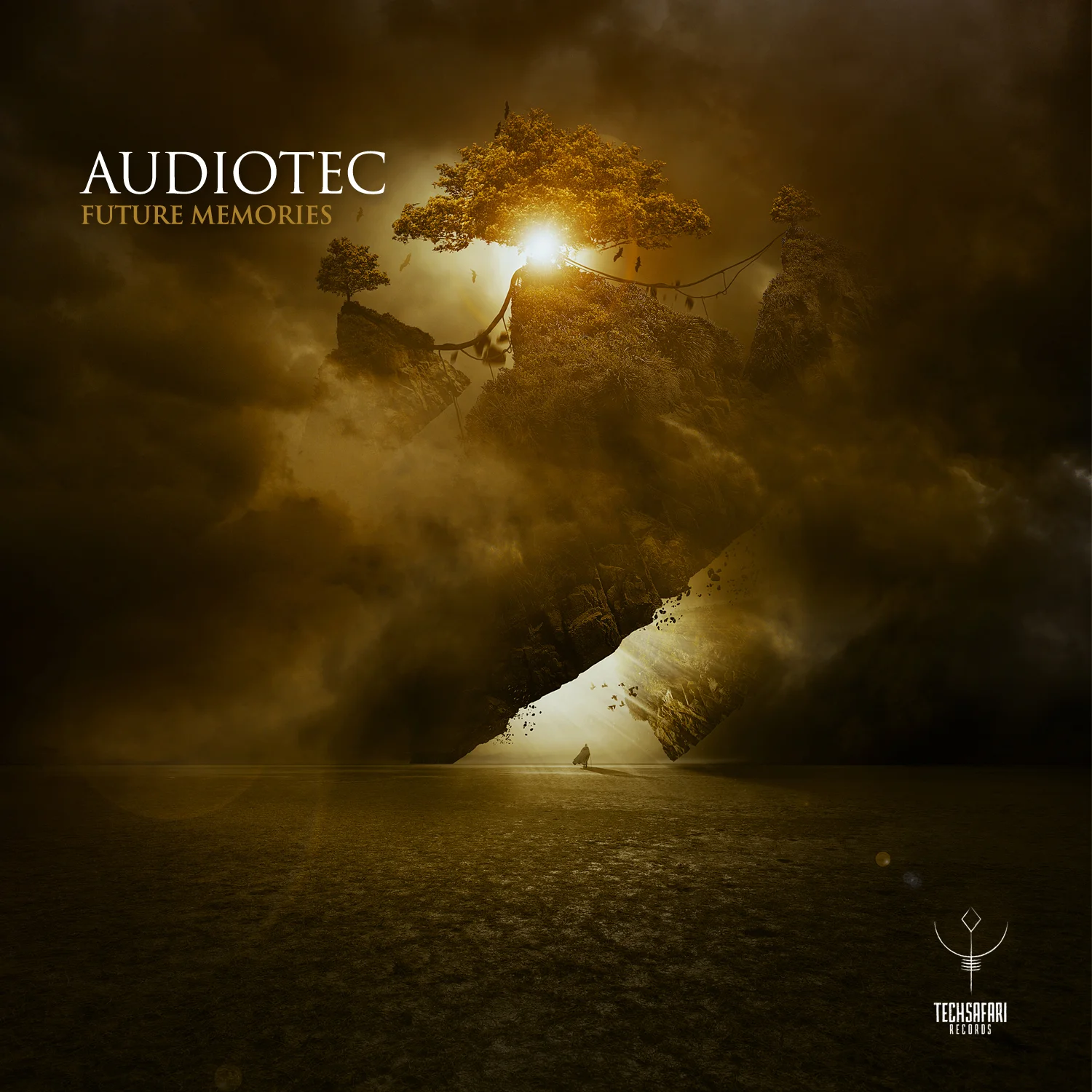 TSR19 AUDIOTEC FM .jpg