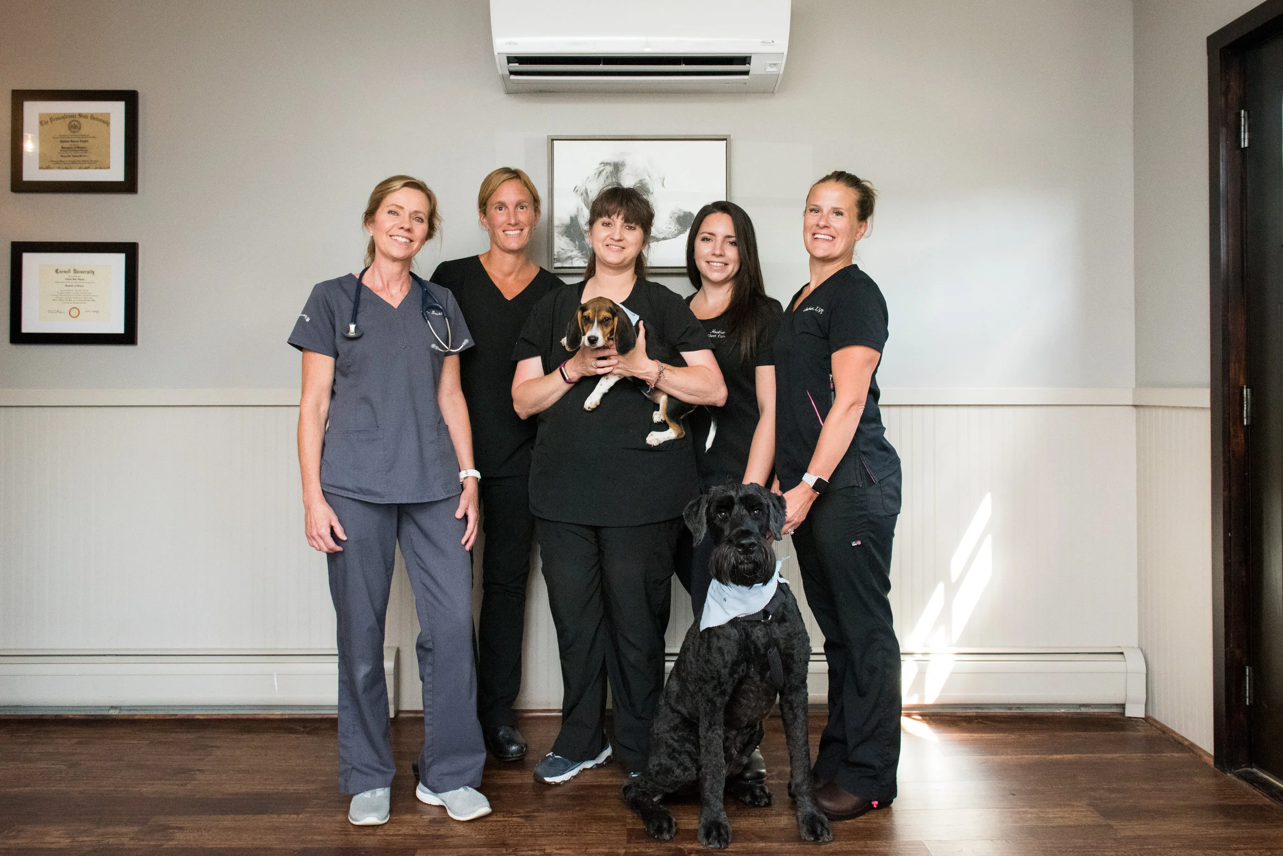Our Team — Nelson Veterinary Associates, Inc.
