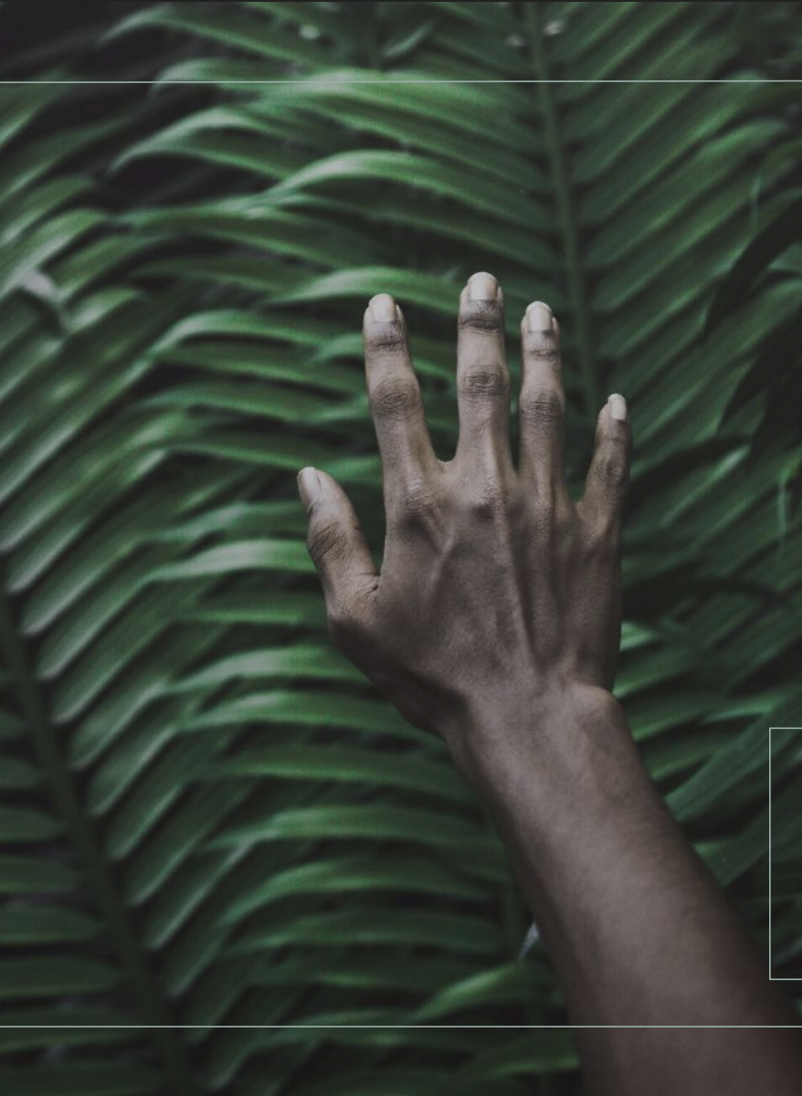 Screen Shot 2021-11-02 at 12.17.55 AM.png