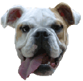 Siege uses a cute dog logo, though.