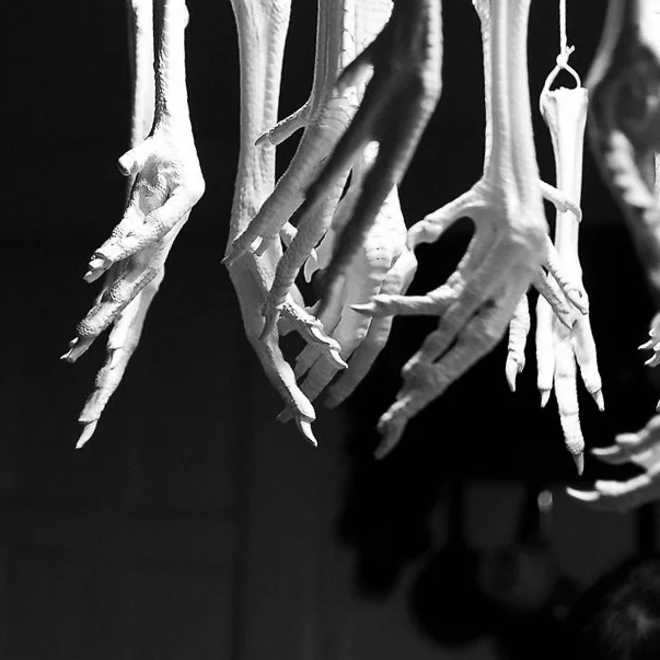 window_to_process_022418_0298 copy.jpg