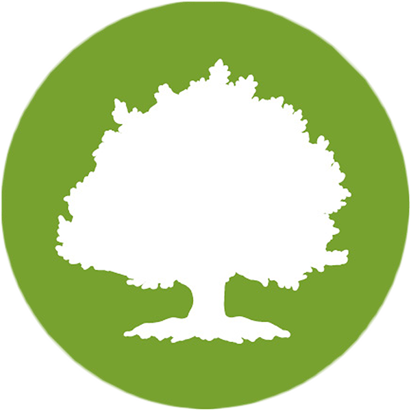large-tree-d9b701f64dd9053ecc81a723641f87b5.png