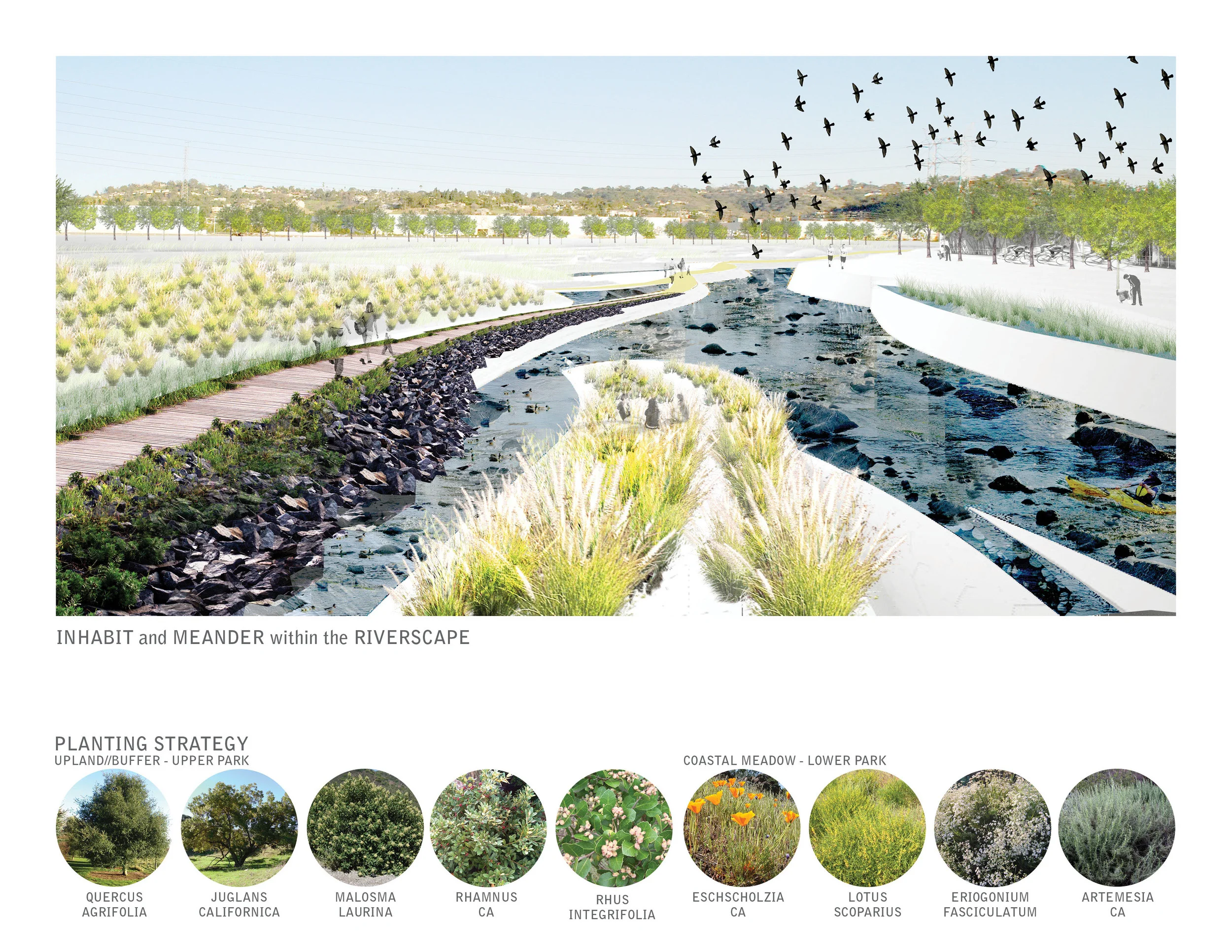 TINA CHEE landscape studio_LAR_river.jpg